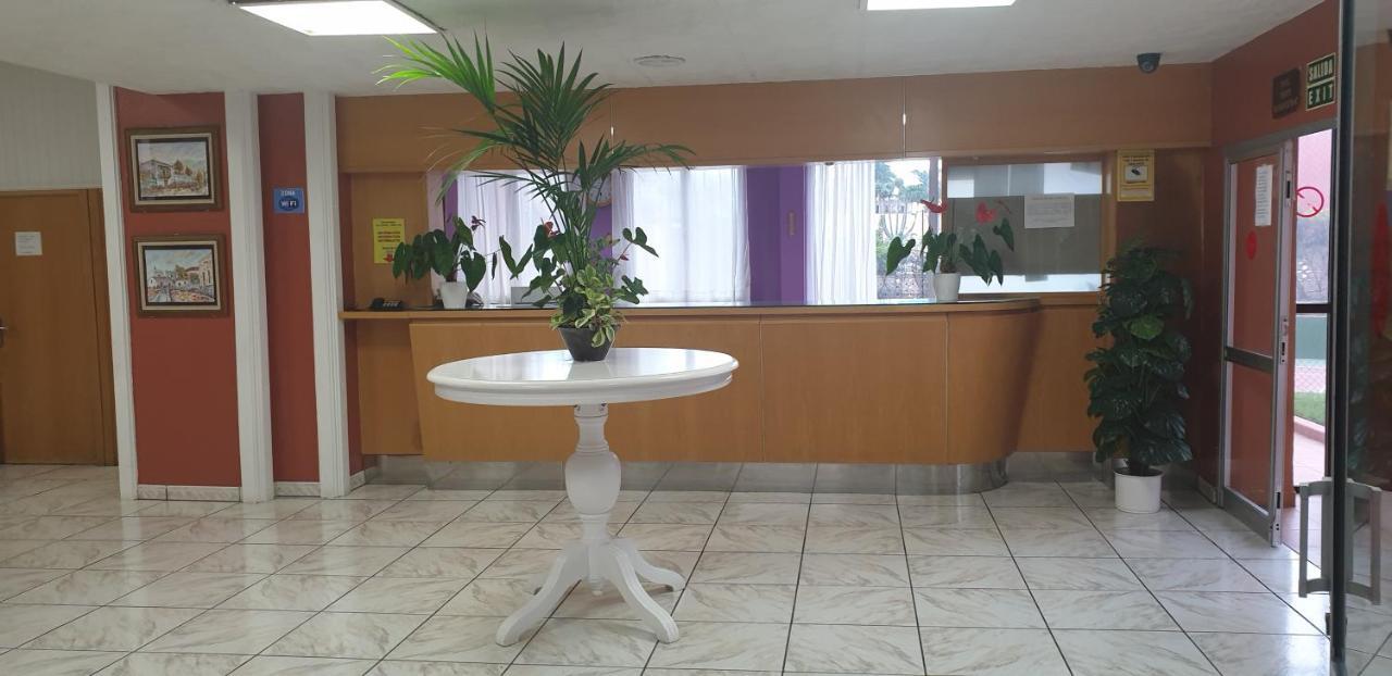 Estudio Neya Puerto de la Cruz  Luaran gambar